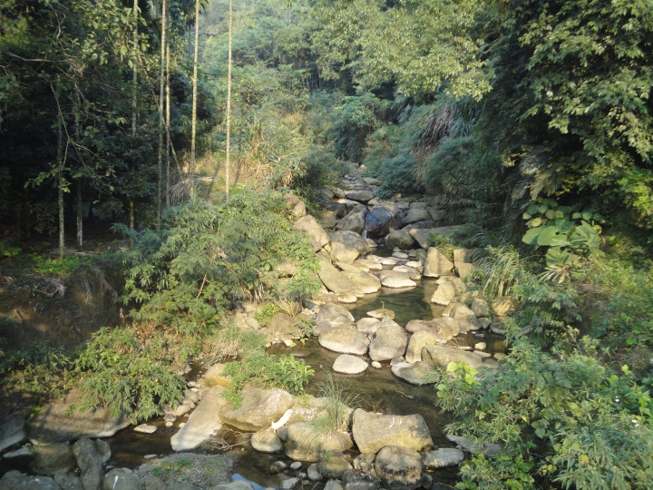 「神鵝瞎旅」(下)之 集集大山 老頭 〝踏去當〞。