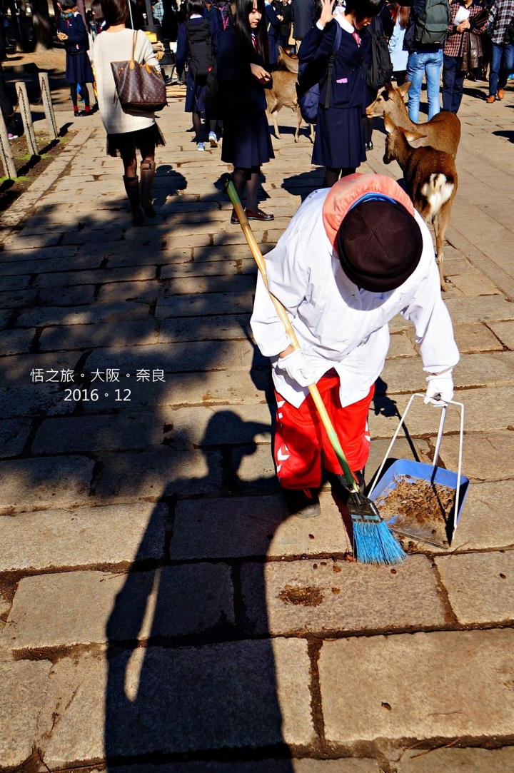 【遊記】關西。NEX-5R+SEL1018