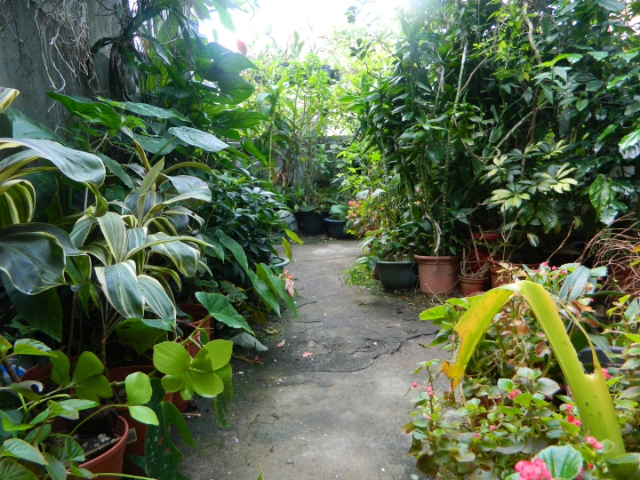 我們的空中花園