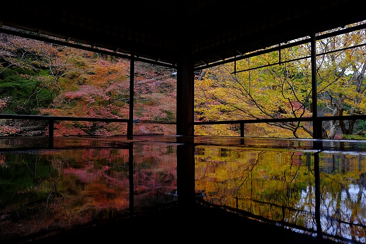 2016 京都賞楓 XE2+16mm 1.4 & XE1+55-200mm