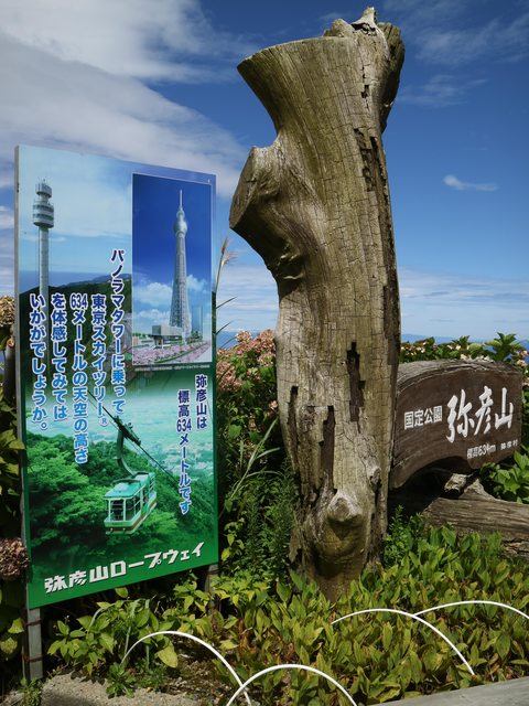 「新潟景點」--彌彥神社、彌彥山、全景塔