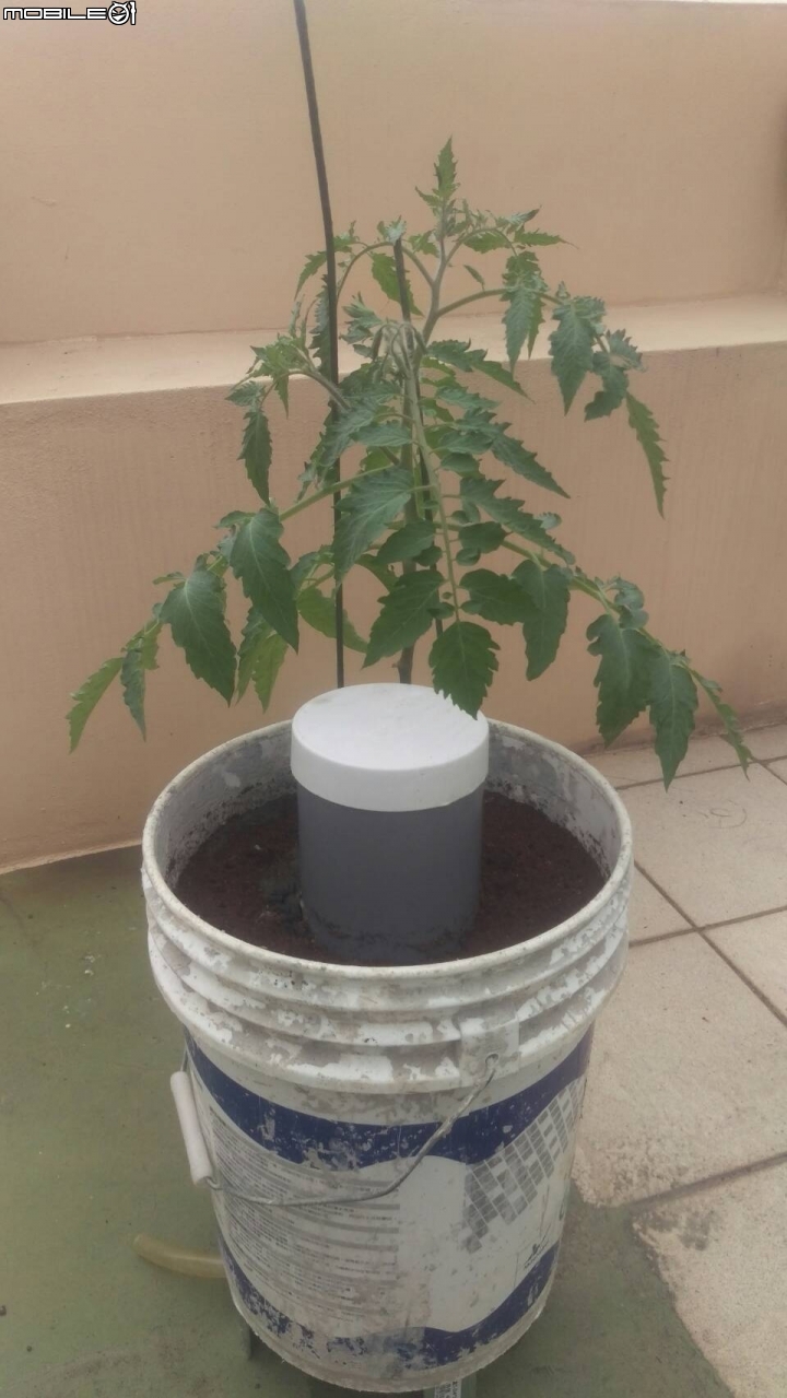 蚓菜共生廚餘桶DIY製作與圖文分享