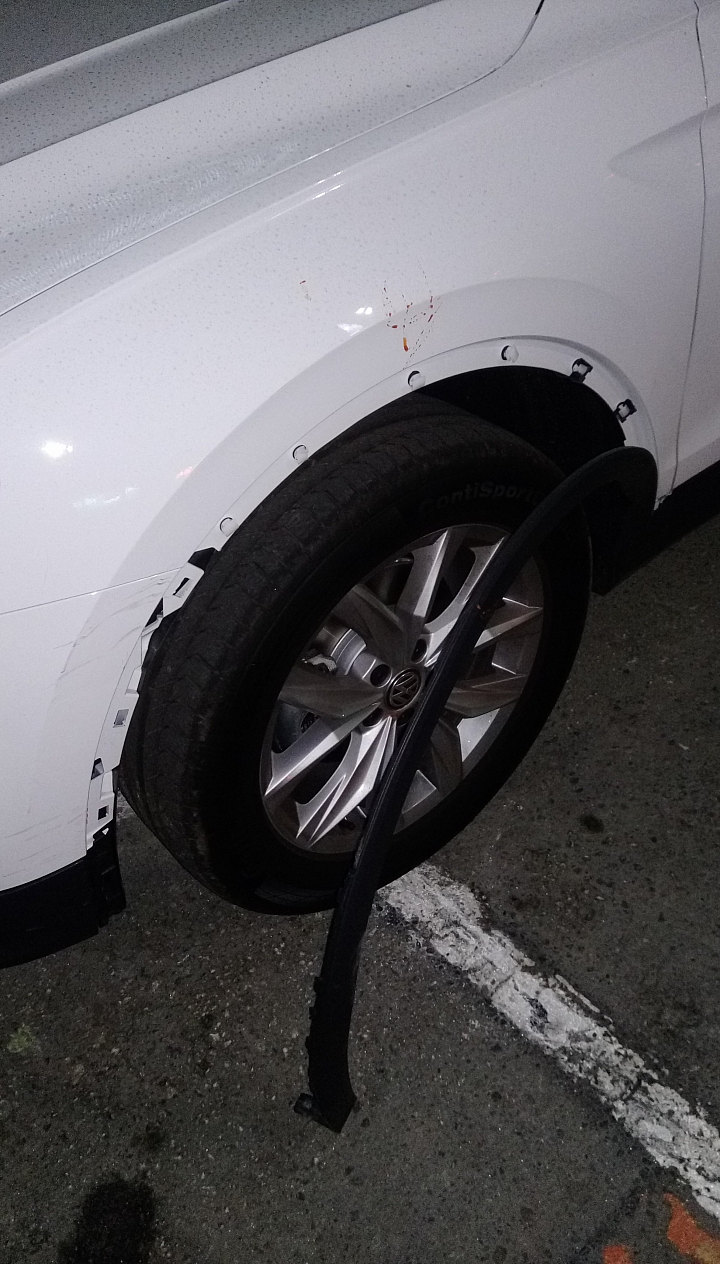 懸賞…跪求行車記錄器影像