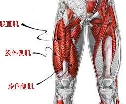 膝關節及肌肉的保養及鍛鍊--船井生醫Funcare 關健樂活機＋膝關健按摩帶分享