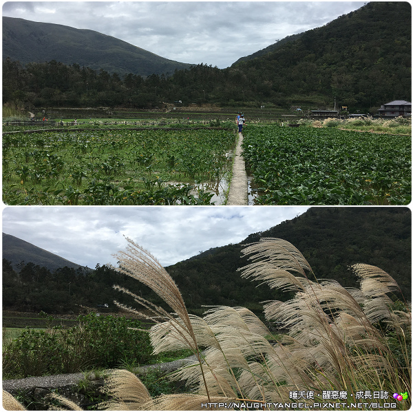 【三代同堂】大手牽小手我們一起走。北海岸2天1夜玩山玩海，親子旅行輕鬆遊