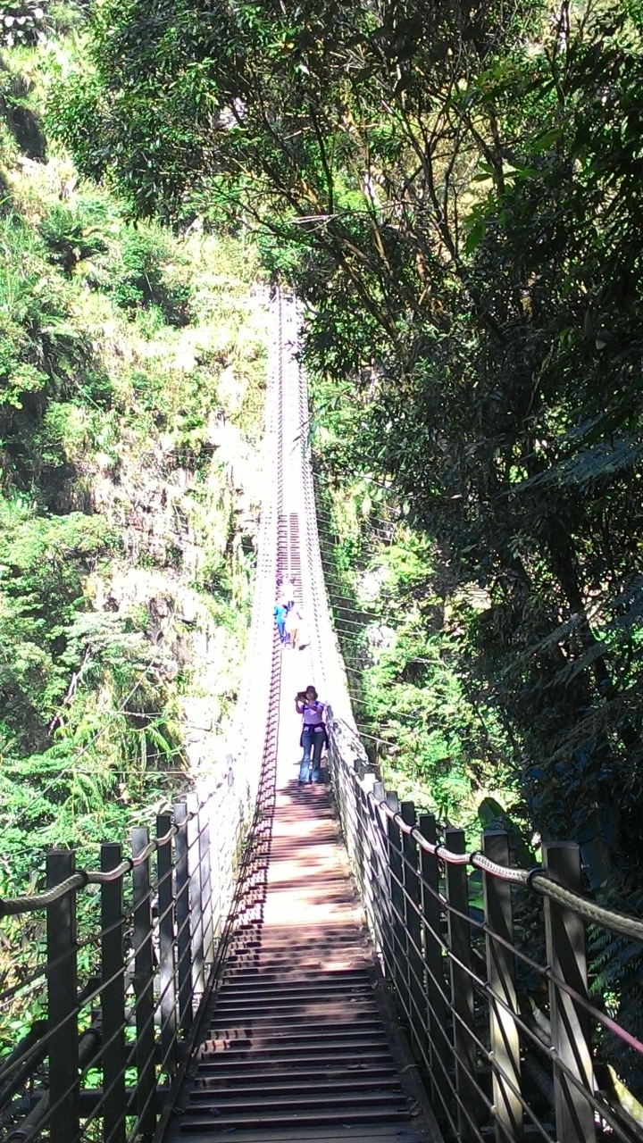 鐵腿之旅-八卦茶園+梯子吊橋(應老頭要求，作了一份圖片解說版)