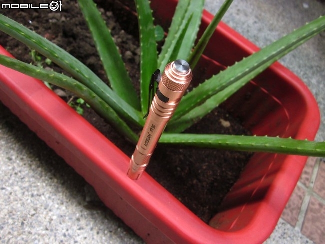 ACEBEAM  PT10  2aaa 銅製玫瑰金筆筒