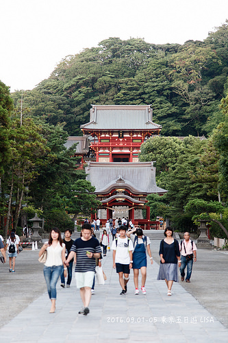 [走跳] 日本東京五日遊 Day4 （下）-  高德院大佛、鎌倉、鶴岡八幡宮、新宿鳥貴族