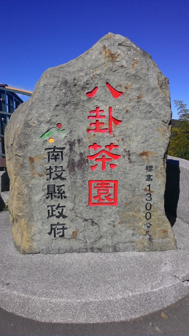 鐵腿之旅-八卦茶園+梯子吊橋(應老頭要求，作了一份圖片解說版)