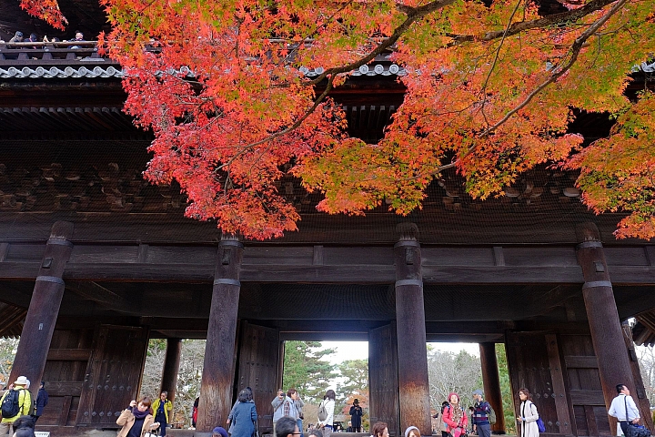 2016 京都賞楓 XE2+16mm 1.4 & XE1+55-200mm