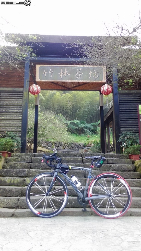 梅山36彎及二尖山茶園、碧湖山茶園一日遊