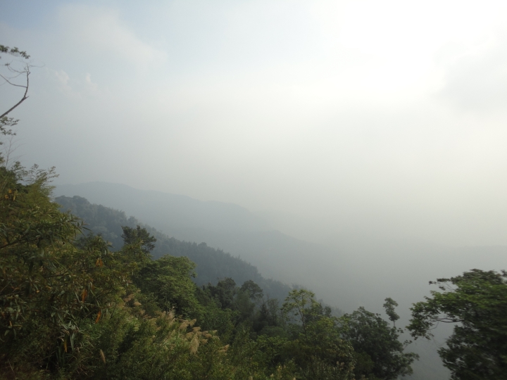 「神鵝瞎旅」(下)之 集集大山 老頭 〝踏去當〞。
