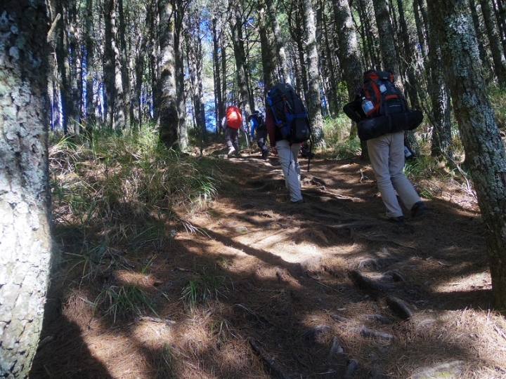 天公作美的南湖大山四日行程