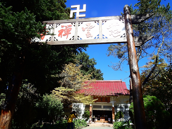 Nikon P900の阿里山慈雲寺的楓葉與銀杏