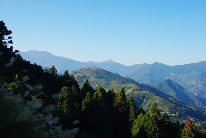 羅山林道