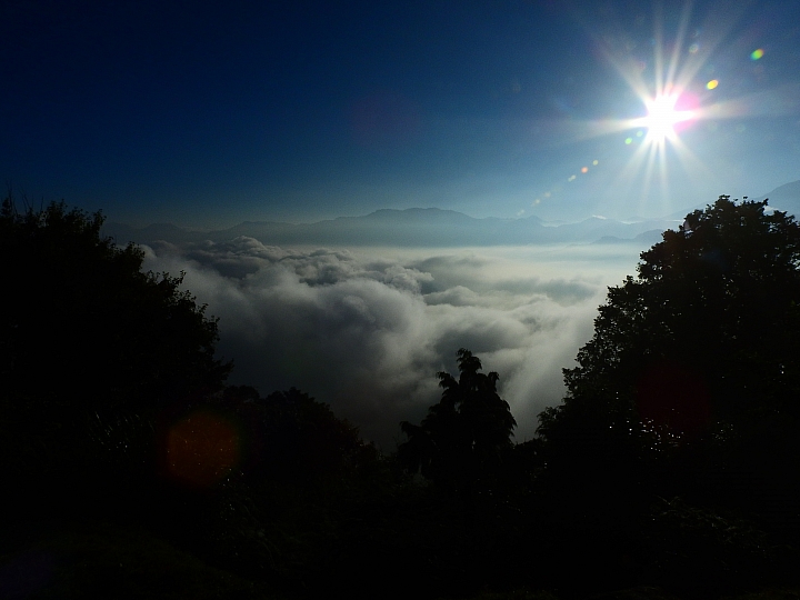 Nikon P900の阿里山慈雲寺的楓葉與銀杏
