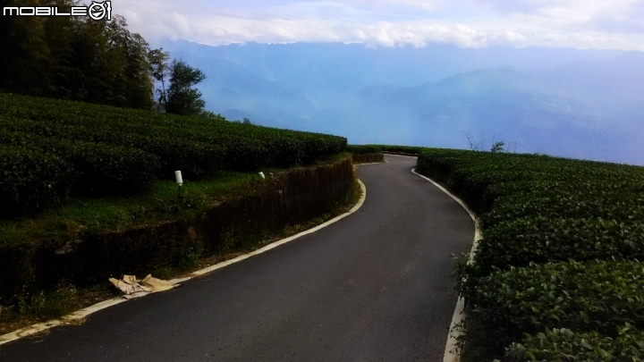 梅山36彎及二尖山茶園、碧湖山茶園一日遊
