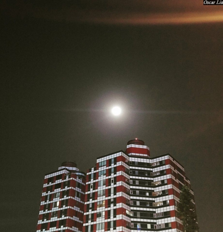 (第86批圖) LG G4 &G5&V10&v20 日夜拍研究團 精選作品2016.12.21