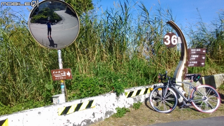梅山36彎及二尖山茶園、碧湖山茶園一日遊