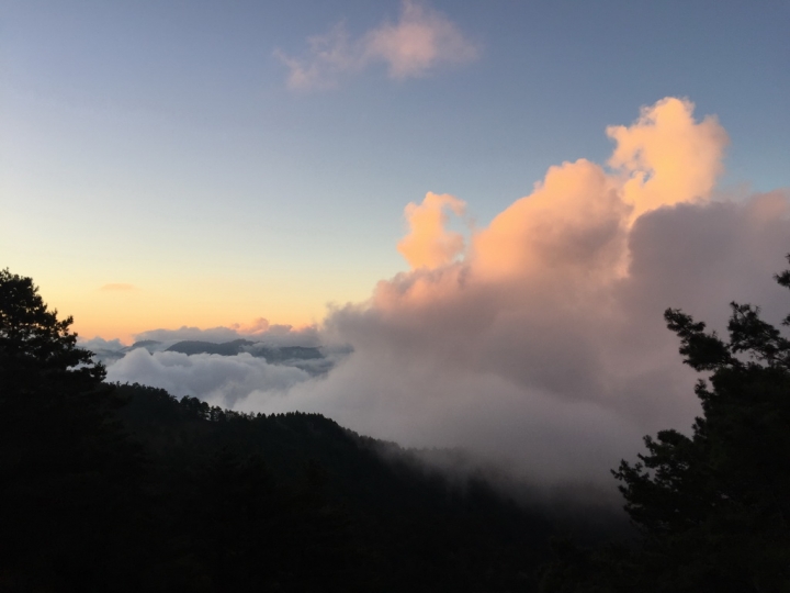 新中橫塔塔加RAV4車宿遊記