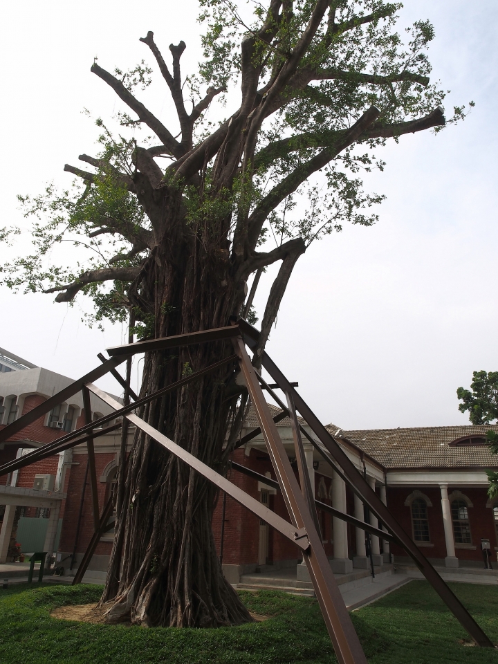是瘋了嗎，竟然可以上法院玩耍?? -- 臺南市 中西區 原臺南地方法院