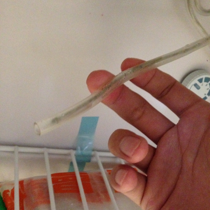 單門小冰箱的這條線是什麼?