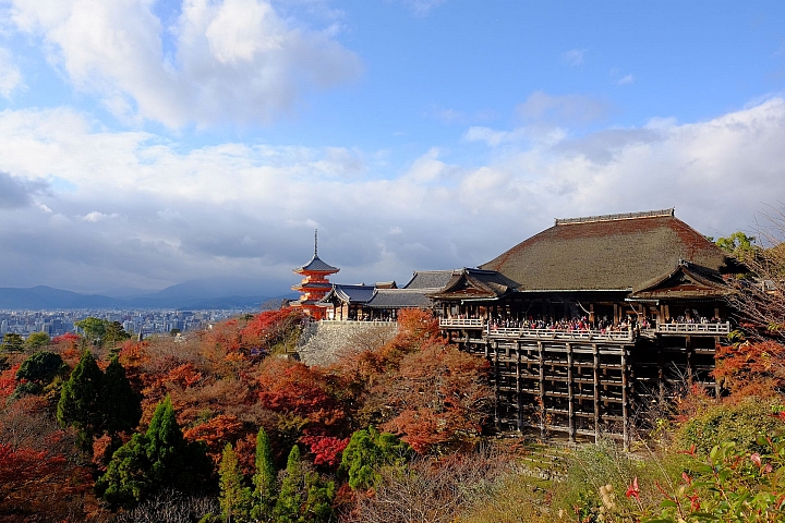 2016 京都賞楓 XE2+16mm 1.4 & XE1+55-200mm