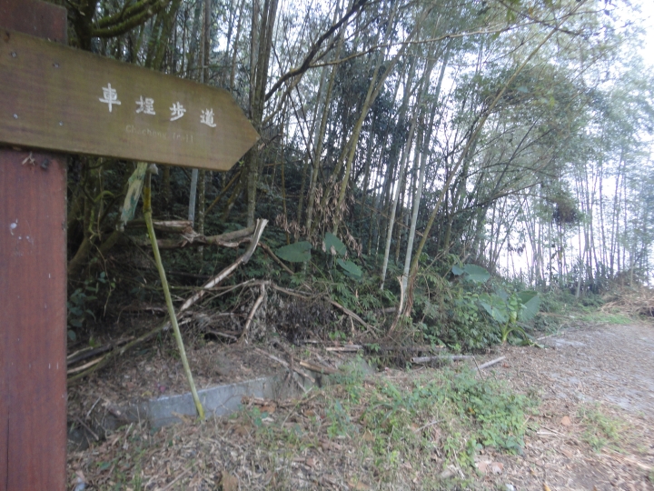 「神鵝瞎旅」(下)之 集集大山 老頭 〝踏去當〞。