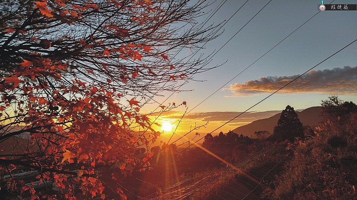 (第87批圖) LG G4 &G5&V10&v20 日夜拍研究團 精選作品2016.12.28