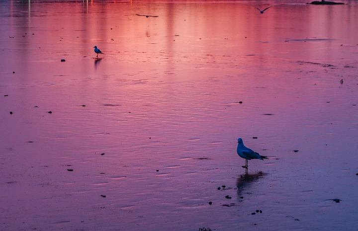 RX100M2 冰島11天環島之旅 (另有G7X OSMO iPhone相片)