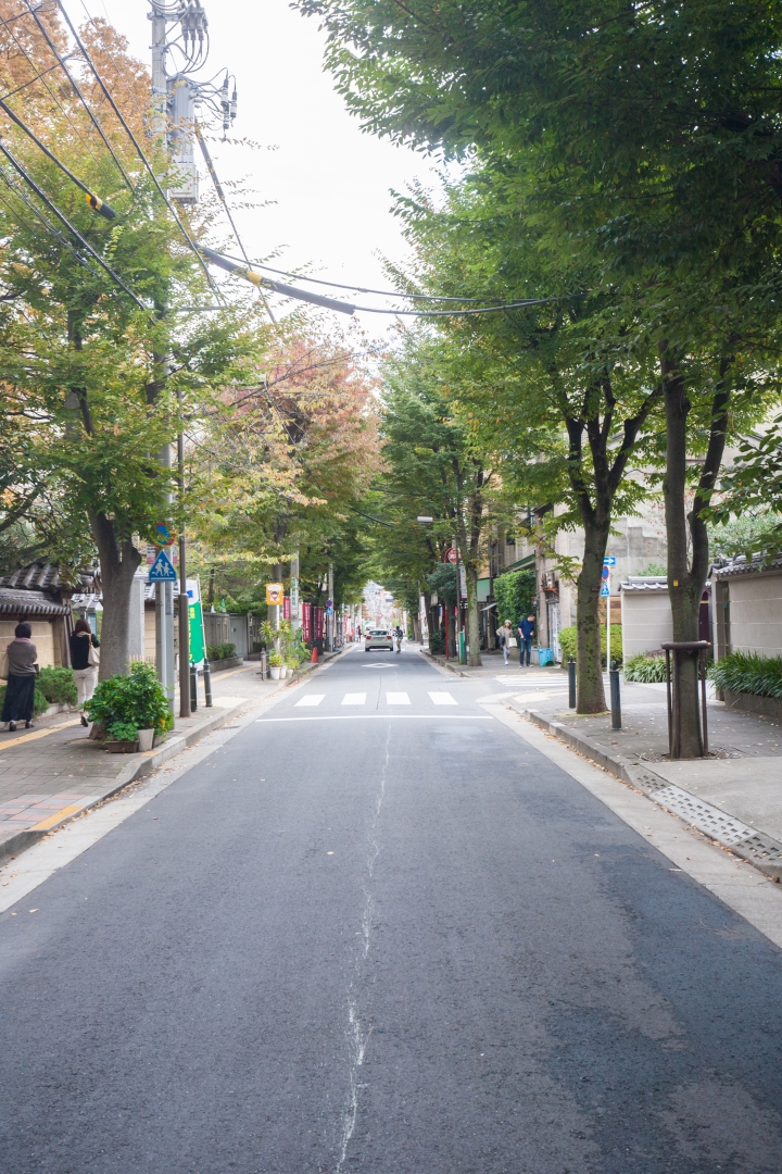 第一次帶媽媽日本東京八天七夜自助之旅 (圖多文多慎入)