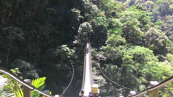 鐵腿之旅-八卦茶園+梯子吊橋(應老頭要求，作了一份圖片解說版)