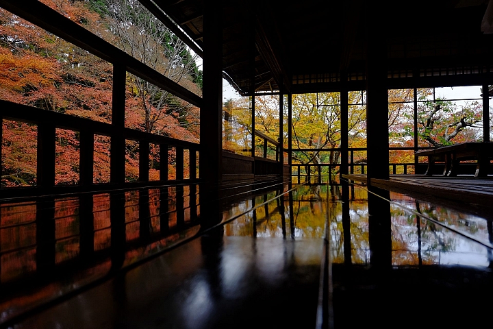 2016 京都賞楓 XE2+16mm 1.4 & XE1+55-200mm