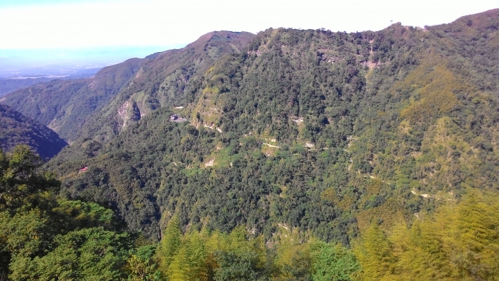 鐵腿之旅-八卦茶園+梯子吊橋(應老頭要求，作了一份圖片解說版)