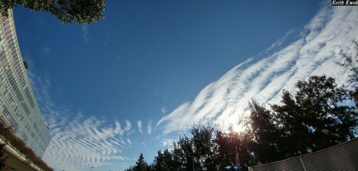 (第86批圖) LG G4 &G5&V10&v20 日夜拍研究團 精選作品2016.12.21