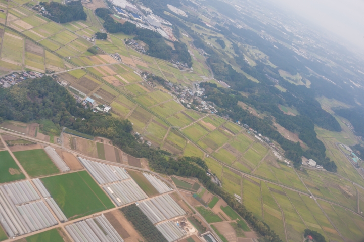 第一次帶媽媽日本東京八天七夜自助之旅 (圖多文多慎入)