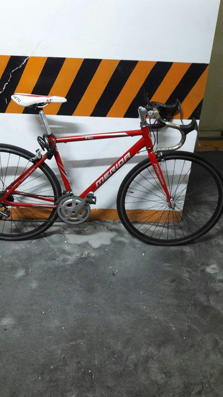 剛加入公路車的行列