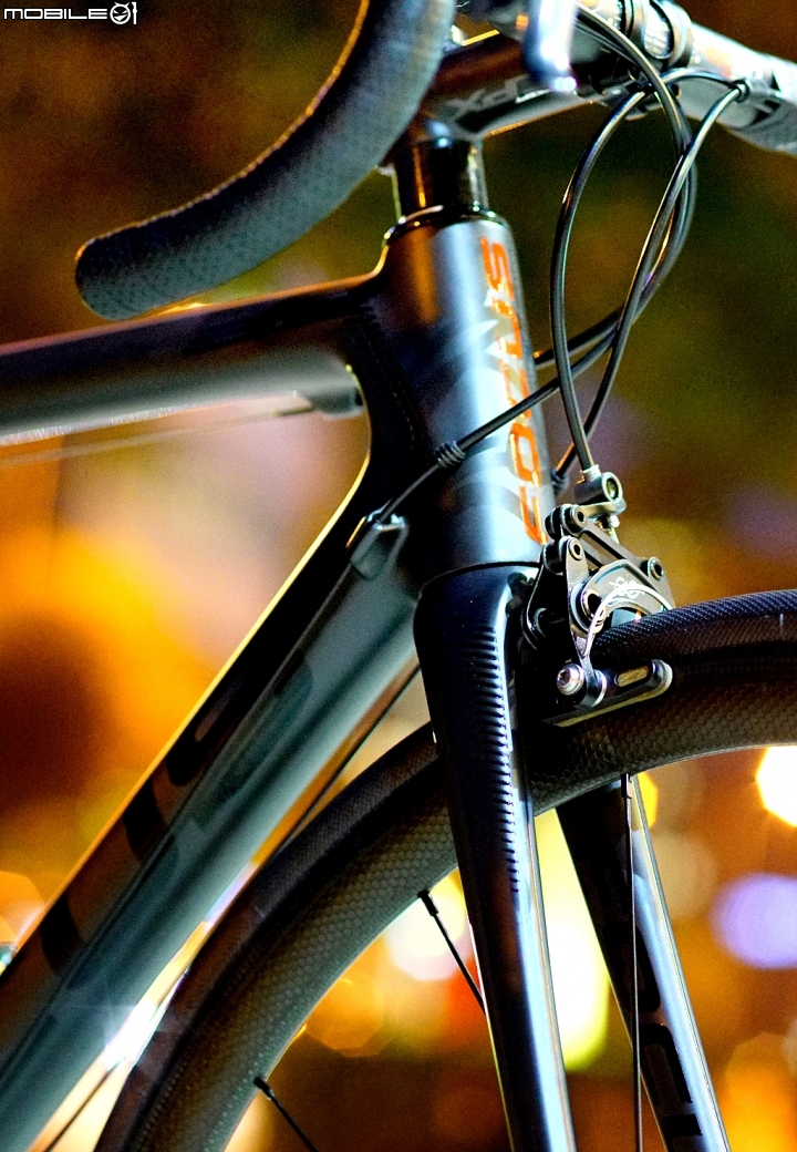 德國Focus Izalco Max 組好，整車6kg整