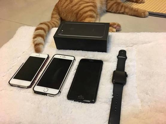 恐怖電信合約陷阱與申訴成功過程 +IPHONE7 耀石黑開箱！