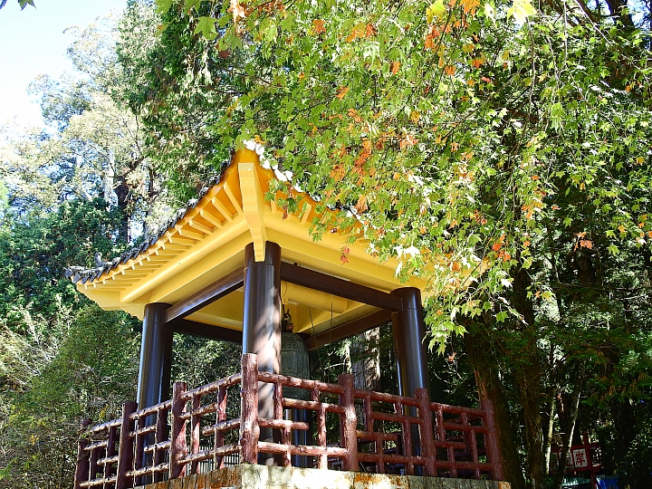 Nikon P900の阿里山慈雲寺的楓葉與銀杏