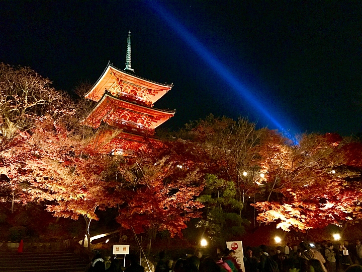 老機A7S清水寺夜楓試拍