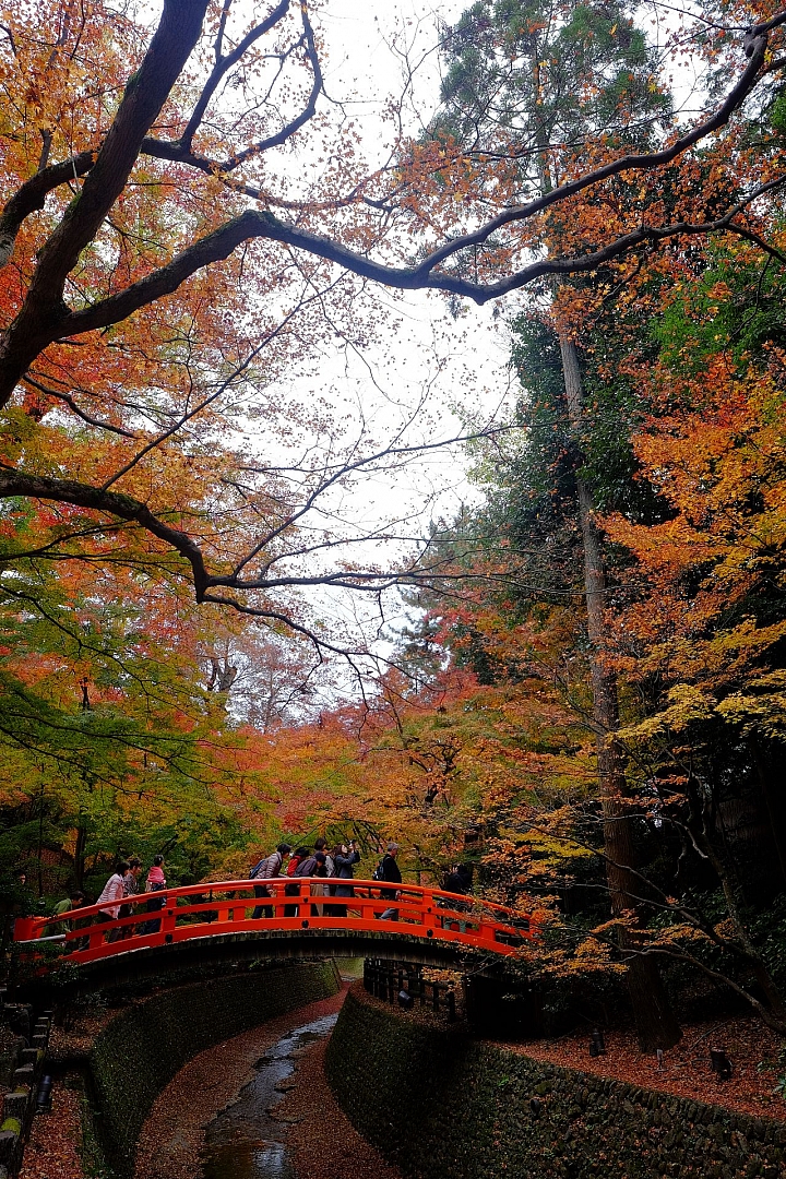 2016 京都賞楓 XE2+16mm 1.4 & XE1+55-200mm