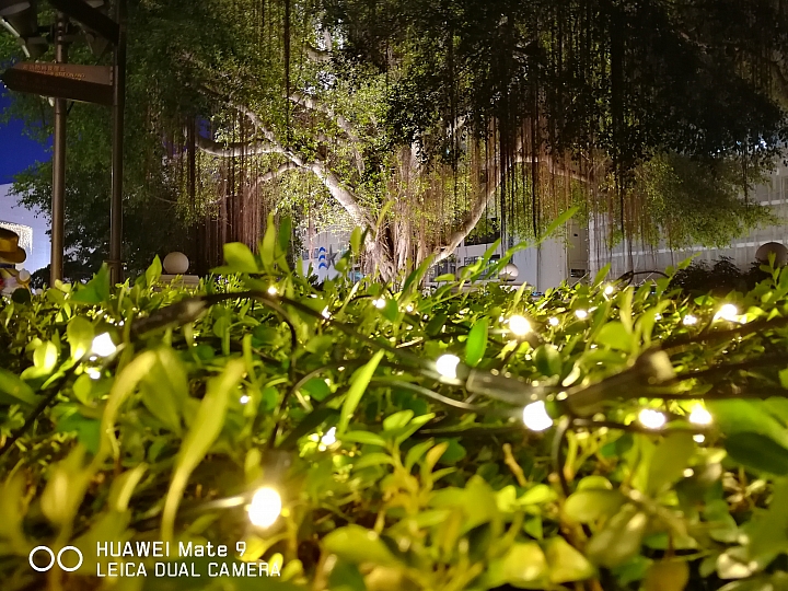 MATE9 實拍樣張解毒分享