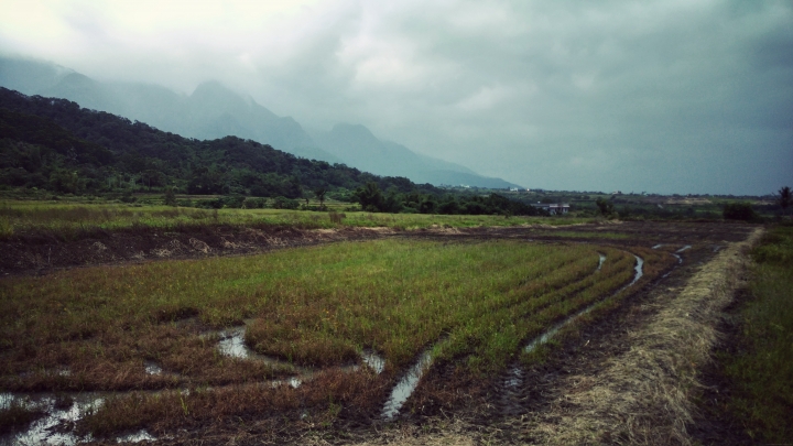 去年年底很冷的花蓮