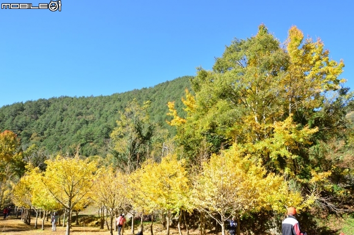 D3200 升級詢問一事