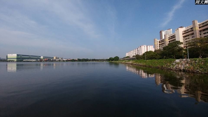 (第86批圖) LG G4 &G5&V10&v20 日夜拍研究團 精選作品2016.12.21