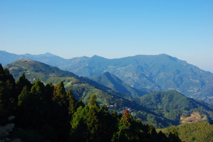 羅山林道
