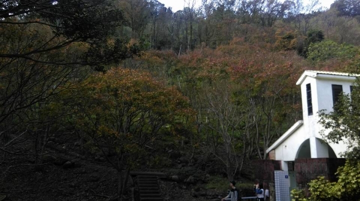 石門楓紅很差
