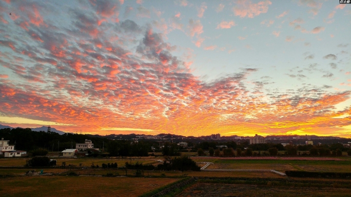 (第86批圖) LG G4 &G5&V10&v20 日夜拍研究團 精選作品2016.12.21