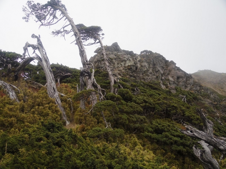 天公作美的南湖大山四日行程